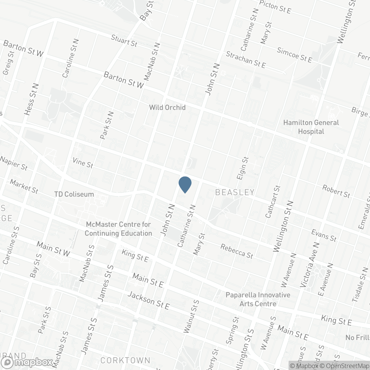 128 JOHN STREET N, Hamilton, Ontario L8R 1H6